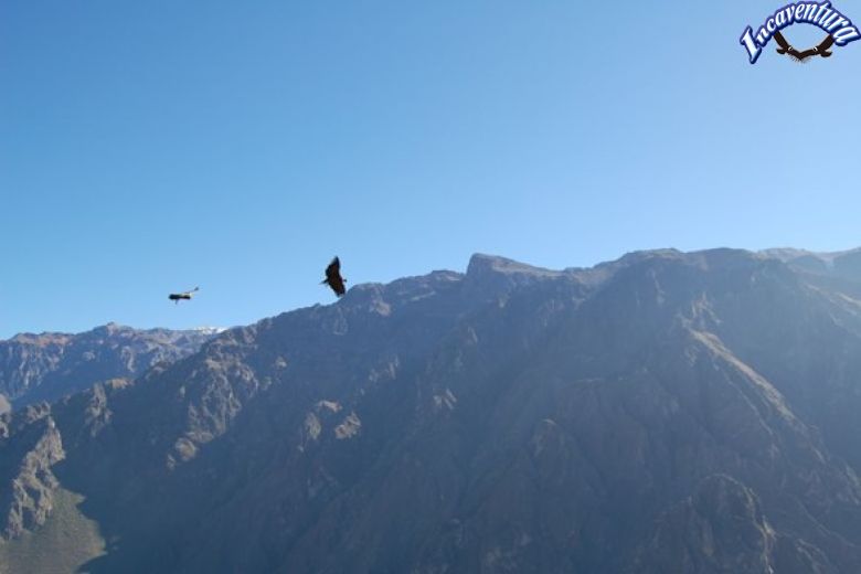de Bomboya Colca (5 jours)